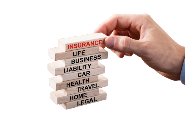 The Insurance Guy The Insurance Guy